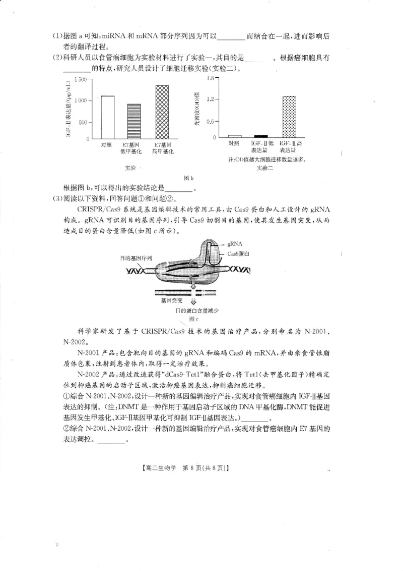 广东省金太阳2026届高三8月开学联考（05C）生物_2025年8月_2508272026届广东金太阳高三8月开学联考（05C）（全科）_2026届广东金太阳高三8月开学联考（05C）生物（含答案）