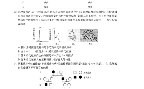 广东省金太阳2026届高三8月开学联考（05C）生物_2025年8月_2508272026届广东金太阳高三8月开学联考（05C）（全科）_2026届广东金太阳高三8月开学联考（05C）生物（含答案）