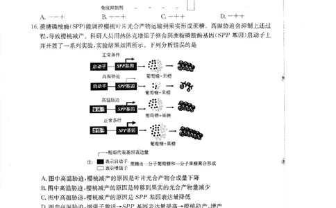 广东省金太阳2026届高三8月开学联考（05C）生物_2025年8月_2508272026届广东金太阳高三8月开学联考（05C）（全科）_2026届广东金太阳高三8月开学联考（05C）生物（含答案）