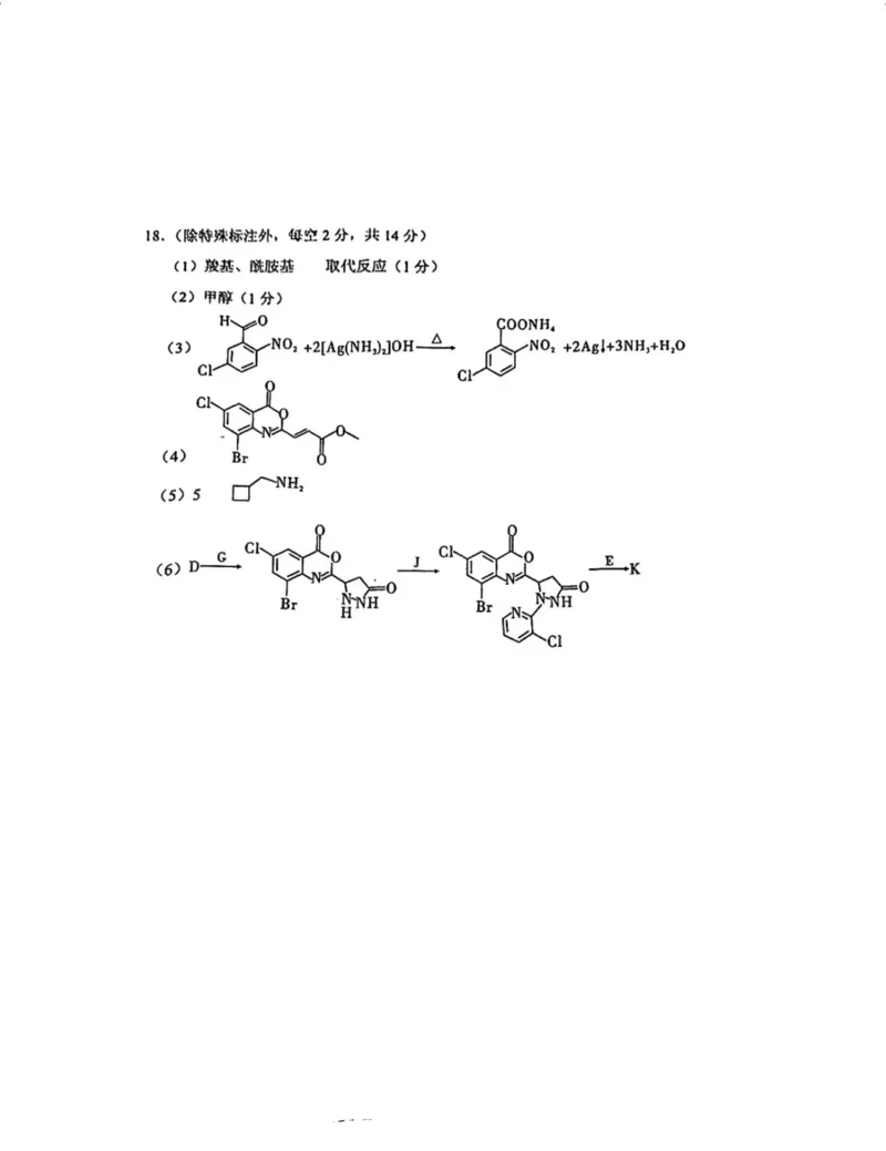 重庆市第一中学校2025届高三上学期12月月考化学+答案_2025年1月_250101重庆市第一中学校2025届高三上学期12月月考