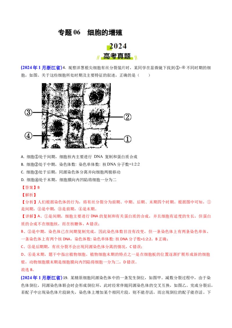 专题06细胞的增殖-2024年高考真题和模拟题生物分类汇编（教师卷）_近10年高考真题汇编（必刷）_十年（2014-2024）高考生物真题分项汇编（全国通用）
