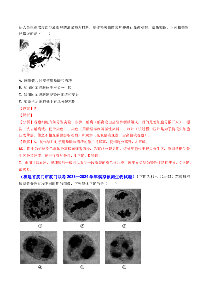 专题06细胞的增殖-2024年高考真题和模拟题生物分类汇编（教师卷）_近10年高考真题汇编（必刷）_十年（2014-2024）高考生物真题分项汇编（全国通用）
