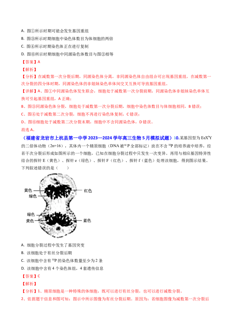 专题06细胞的增殖-2024年高考真题和模拟题生物分类汇编（教师卷）_近10年高考真题汇编（必刷）_十年（2014-2024）高考生物真题分项汇编（全国通用）