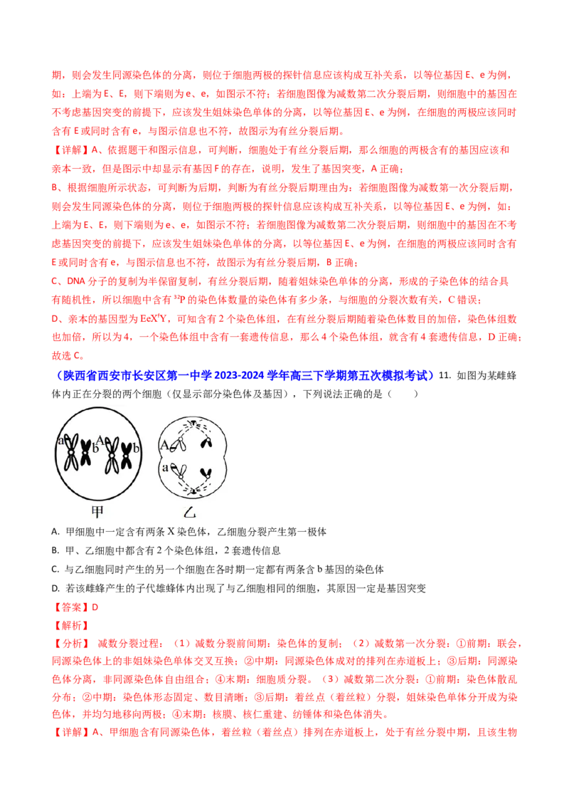 专题06细胞的增殖-2024年高考真题和模拟题生物分类汇编（教师卷）_近10年高考真题汇编（必刷）_十年（2014-2024）高考生物真题分项汇编（全国通用）