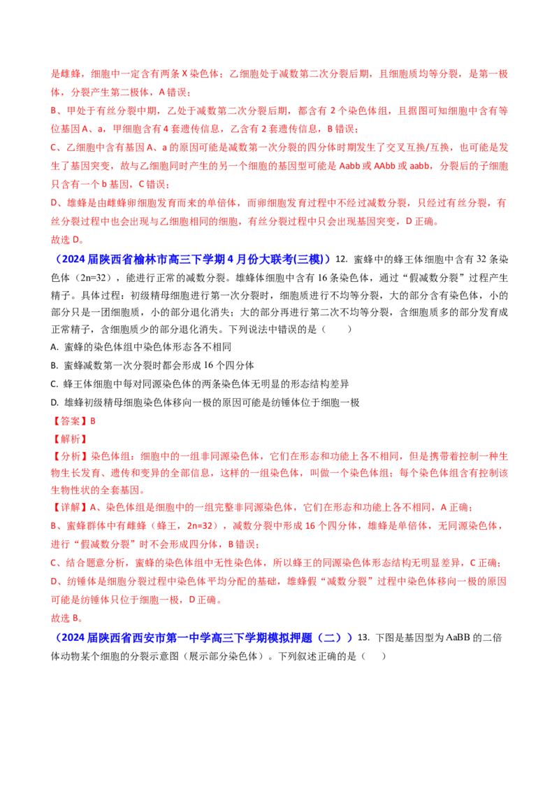 专题06细胞的增殖-2024年高考真题和模拟题生物分类汇编（教师卷）_近10年高考真题汇编（必刷）_十年（2014-2024）高考生物真题分项汇编（全国通用）