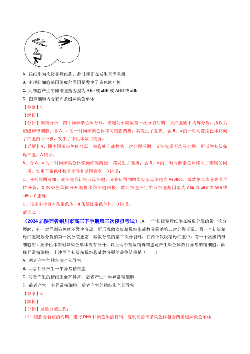 专题06细胞的增殖-2024年高考真题和模拟题生物分类汇编（教师卷）_近10年高考真题汇编（必刷）_十年（2014-2024）高考生物真题分项汇编（全国通用）