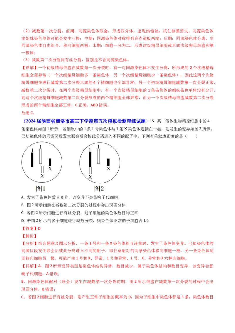 专题06细胞的增殖-2024年高考真题和模拟题生物分类汇编（教师卷）_近10年高考真题汇编（必刷）_十年（2014-2024）高考生物真题分项汇编（全国通用）