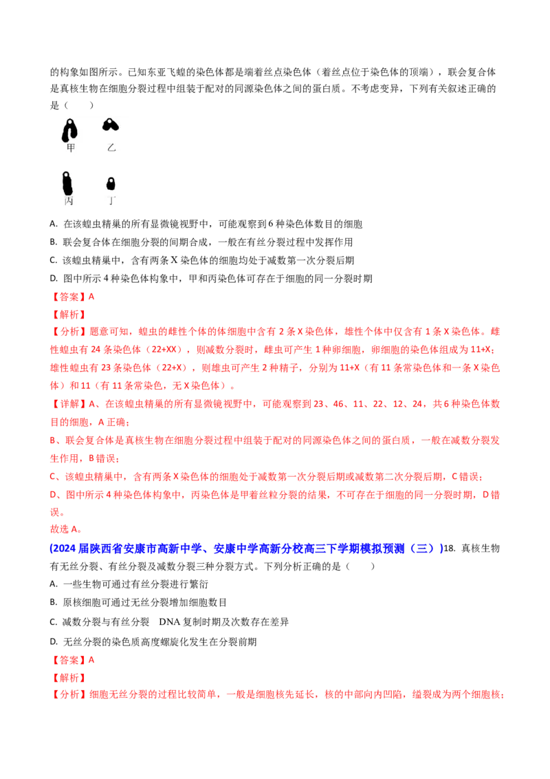 专题06细胞的增殖-2024年高考真题和模拟题生物分类汇编（教师卷）_近10年高考真题汇编（必刷）_十年（2014-2024）高考生物真题分项汇编（全国通用）