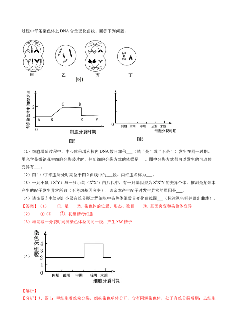 专题06细胞的增殖-2024年高考真题和模拟题生物分类汇编（教师卷）_近10年高考真题汇编（必刷）_十年（2014-2024）高考生物真题分项汇编（全国通用）