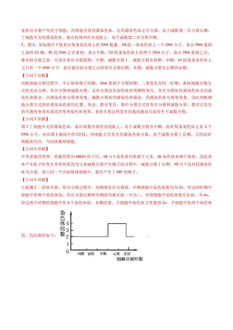 专题06细胞的增殖-2024年高考真题和模拟题生物分类汇编（教师卷）_近10年高考真题汇编（必刷）_十年（2014-2024）高考生物真题分项汇编（全国通用）