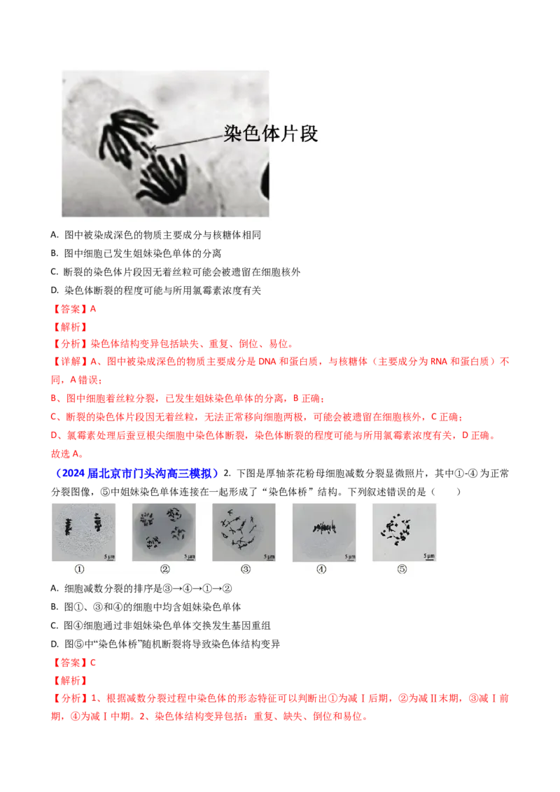 专题06细胞的增殖-2024年高考真题和模拟题生物分类汇编（教师卷）_近10年高考真题汇编（必刷）_十年（2014-2024）高考生物真题分项汇编（全国通用）