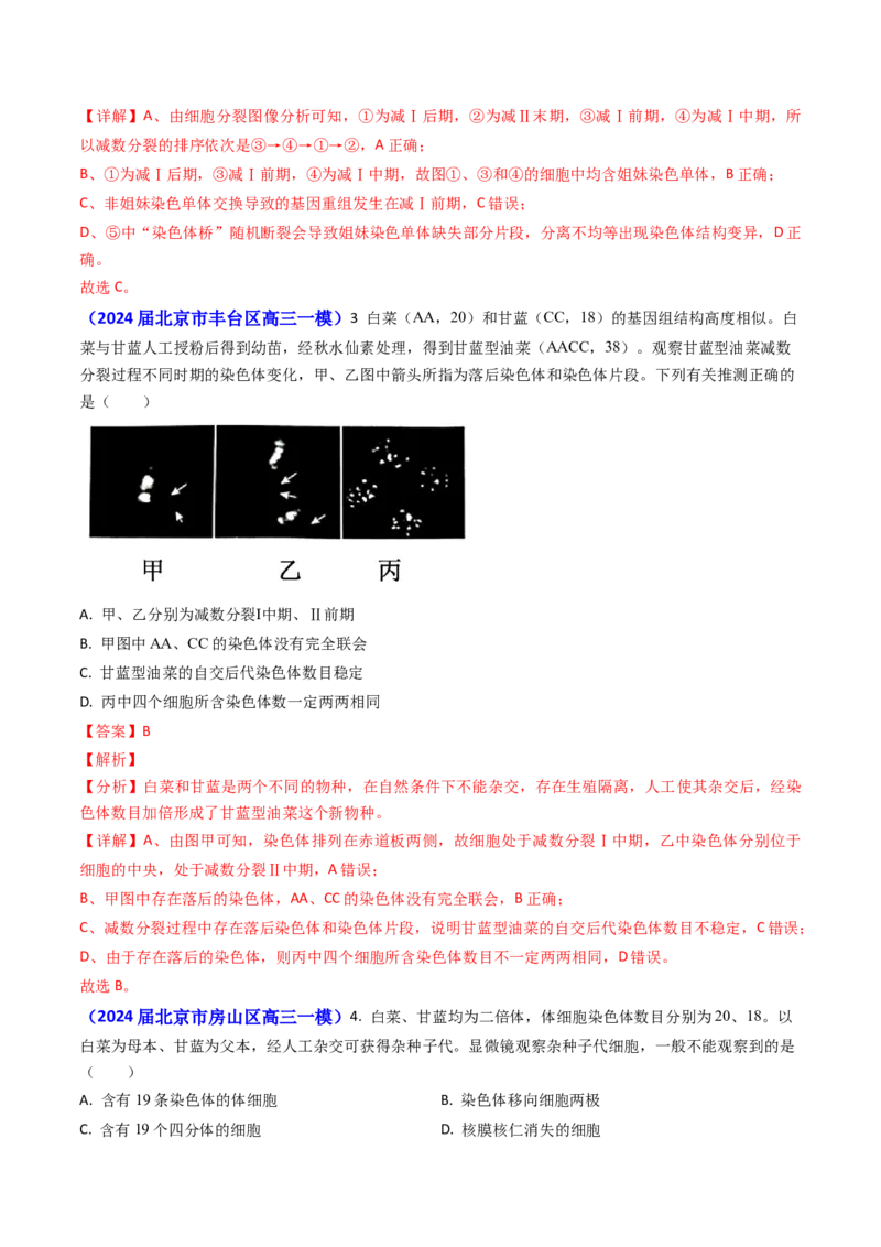 专题06细胞的增殖-2024年高考真题和模拟题生物分类汇编（教师卷）_近10年高考真题汇编（必刷）_十年（2014-2024）高考生物真题分项汇编（全国通用）