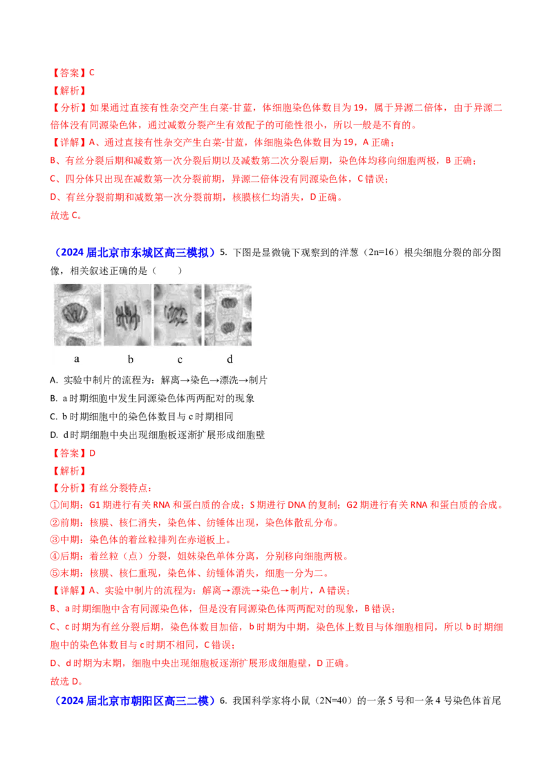 专题06细胞的增殖-2024年高考真题和模拟题生物分类汇编（教师卷）_近10年高考真题汇编（必刷）_十年（2014-2024）高考生物真题分项汇编（全国通用）