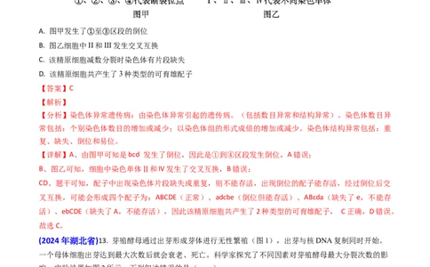专题06细胞的增殖-2024年高考真题和模拟题生物分类汇编（教师卷）_近10年高考真题汇编（必刷）_十年（2014-2024）高考生物真题分项汇编（全国通用）