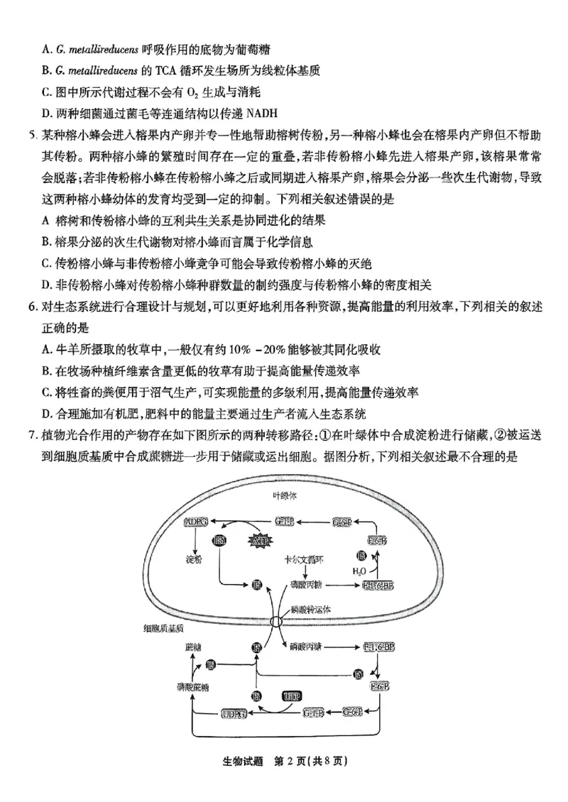 重庆市南开中学高2025届高三第七次质量检测生物_2025年3月_250323重庆市南开中学高2025届高三第七次质量检测（全科）