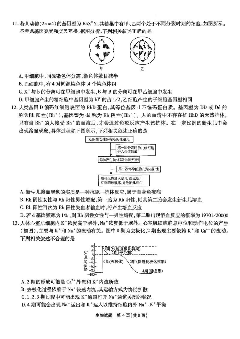 重庆市南开中学高2025届高三第七次质量检测生物_2025年3月_250323重庆市南开中学高2025届高三第七次质量检测（全科）