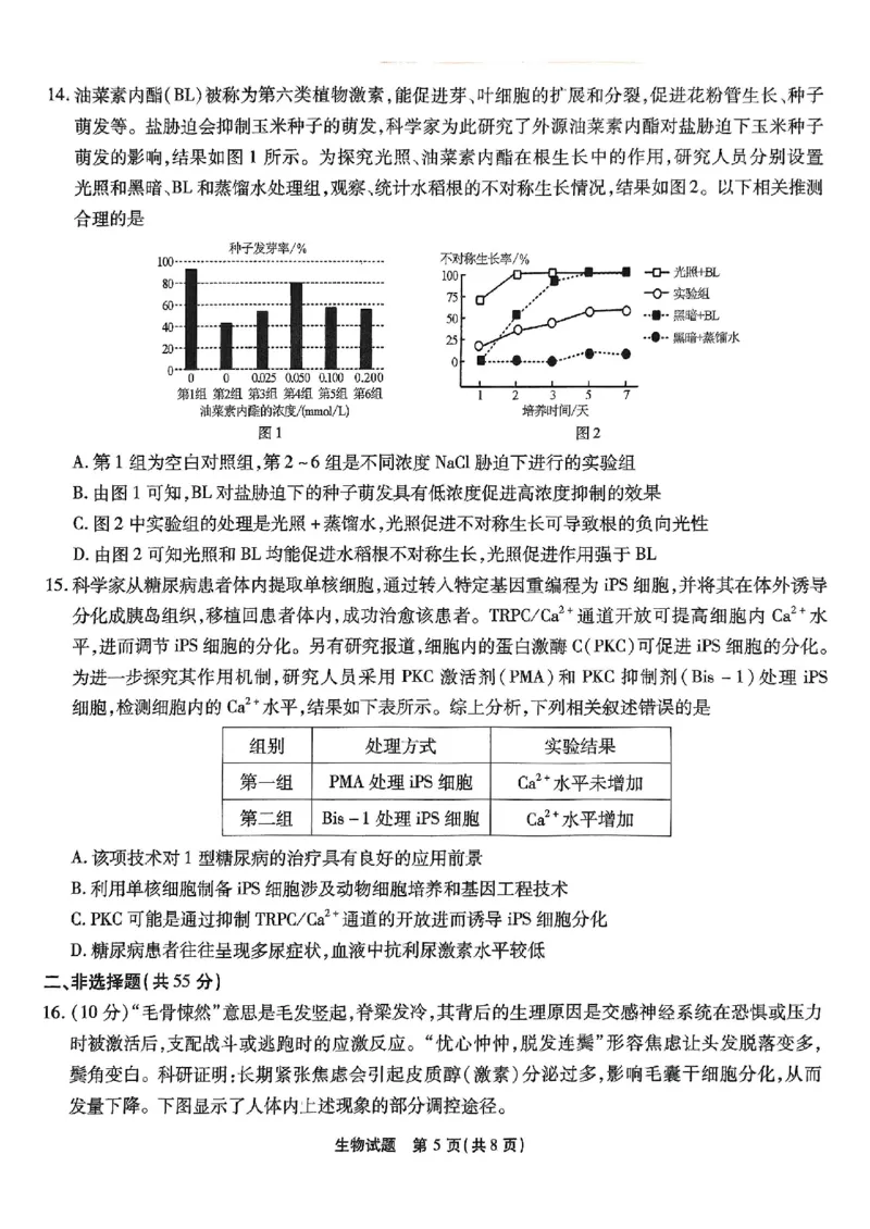 重庆市南开中学高2025届高三第七次质量检测生物_2025年3月_250323重庆市南开中学高2025届高三第七次质量检测（全科）