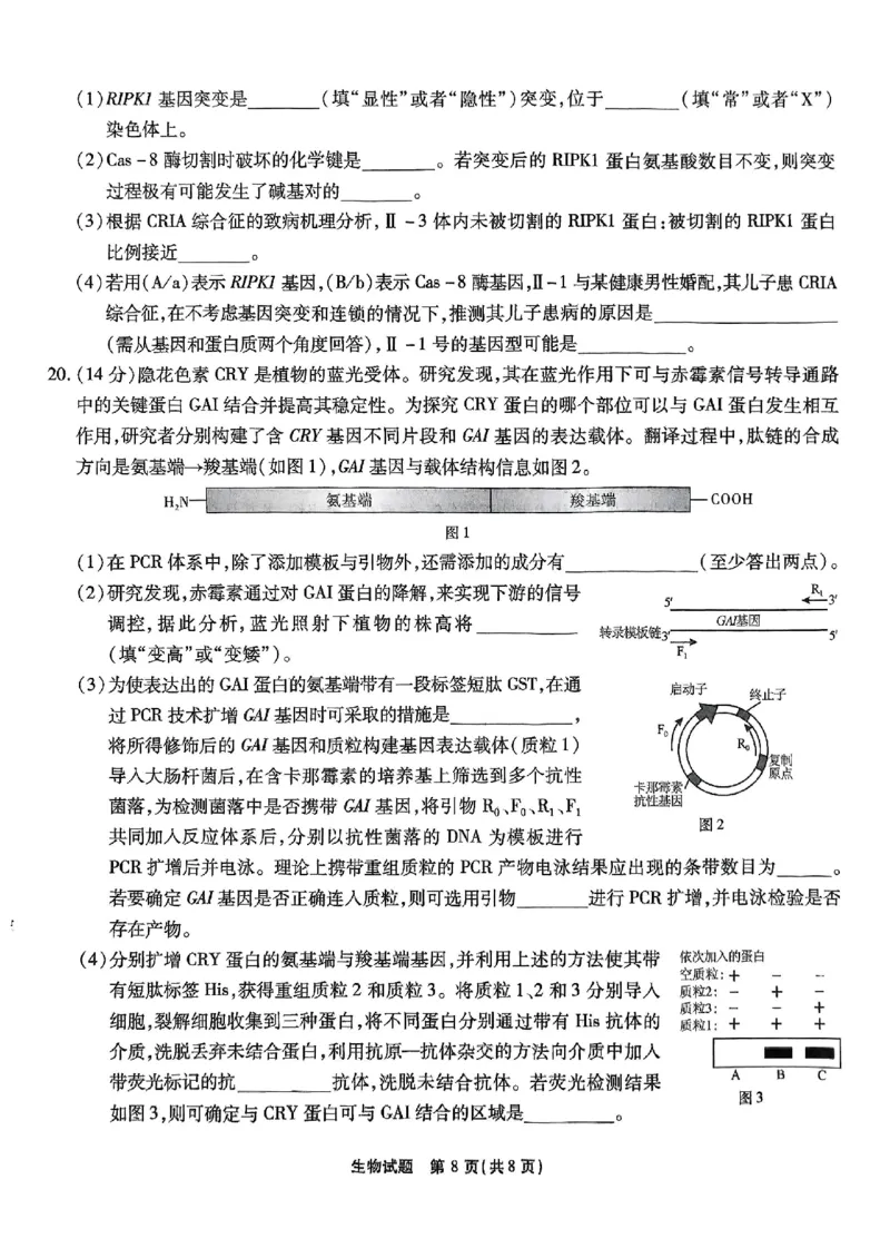 重庆市南开中学高2025届高三第七次质量检测生物_2025年3月_250323重庆市南开中学高2025届高三第七次质量检测（全科）