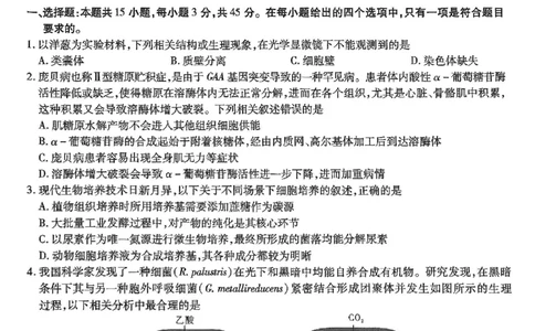 重庆市南开中学高2025届高三第七次质量检测生物_2025年3月_250323重庆市南开中学高2025届高三第七次质量检测（全科）