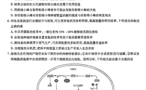 重庆市南开中学高2025届高三第七次质量检测生物_2025年3月_250323重庆市南开中学高2025届高三第七次质量检测（全科）