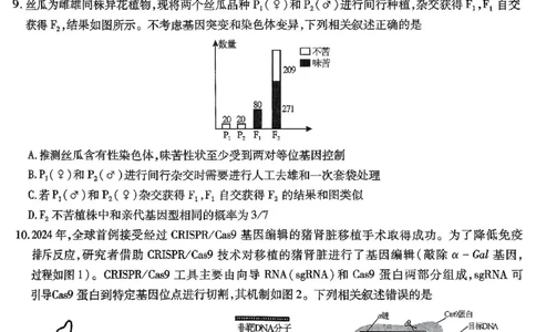 重庆市南开中学高2025届高三第七次质量检测生物_2025年3月_250323重庆市南开中学高2025届高三第七次质量检测（全科）