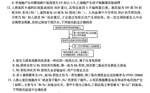 重庆市南开中学高2025届高三第七次质量检测生物_2025年3月_250323重庆市南开中学高2025届高三第七次质量检测（全科）