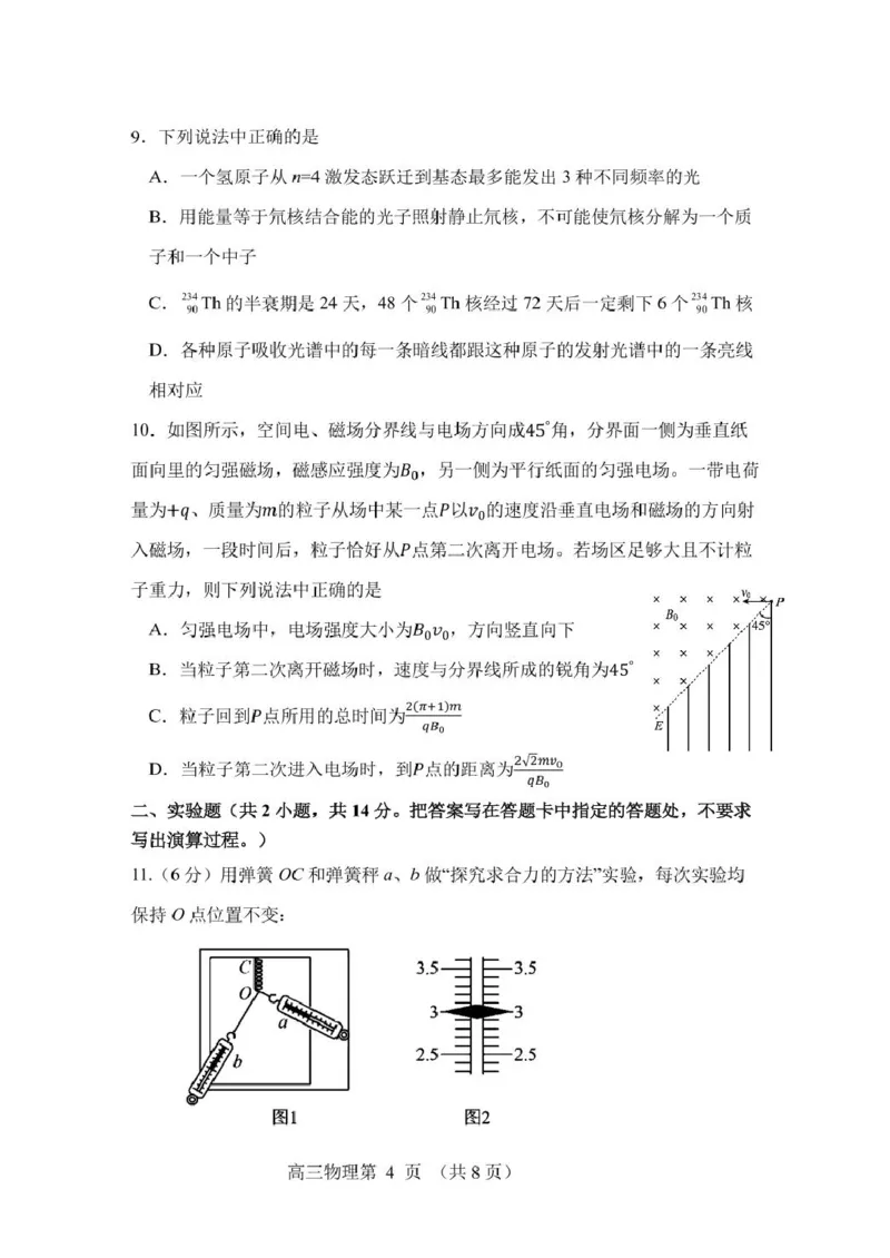 辽宁省丹东市2025届高三下学期3月总复习质量测试（一）物理含答案_2025年4月_250402辽宁省丹东市2025届高三下学期3月总复习质量测试（一）（全科）