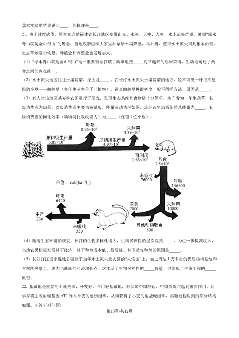 精品解析：河北省石家庄市长安区石家庄市第一中学2025-2026学年高三上学期9月月考生物试题（原卷版）_2025年9月_250927石家庄市第一中学2025-2026学年高三上学期9月摸底考试（全科）