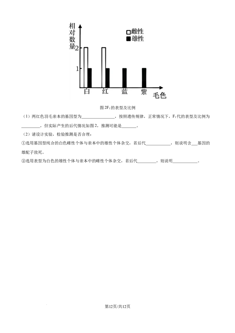 精品解析：河北省石家庄市长安区石家庄市第一中学2025-2026学年高三上学期9月月考生物试题（原卷版）_2025年9月_250927石家庄市第一中学2025-2026学年高三上学期9月摸底考试（全科）
