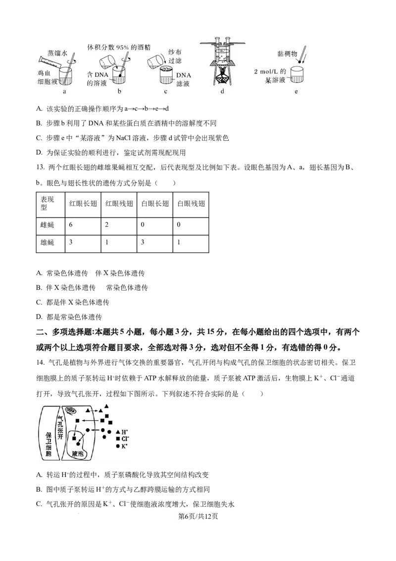 精品解析：河北省石家庄市长安区石家庄市第一中学2025-2026学年高三上学期9月月考生物试题（原卷版）_2025年9月_250927石家庄市第一中学2025-2026学年高三上学期9月摸底考试（全科）