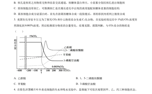 精品解析：河北省石家庄市长安区石家庄市第一中学2025-2026学年高三上学期9月月考生物试题（原卷版）_2025年9月_250927石家庄市第一中学2025-2026学年高三上学期9月摸底考试（全科）
