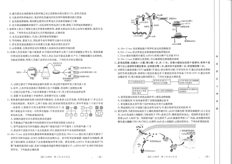 江西省2025届高三下学期3月百万大联考（金太阳25-4001C）生物_2025年3月_2503202025届江西省高三金太阳3月联考（JX-4001C）（全科）_2025届江西省高三金太阳3月联考（JX-4001C）生物