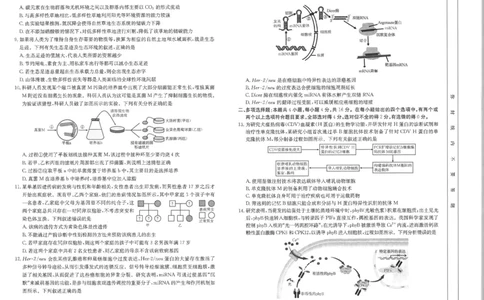 江西省2025届高三下学期3月百万大联考（金太阳25-4001C）生物_2025年3月_2503202025届江西省高三金太阳3月联考（JX-4001C）（全科）_2025届江西省高三金太阳3月联考（JX-4001C）生物