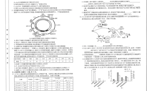 江西省2025届高三下学期3月百万大联考（金太阳25-4001C）生物_2025年3月_2503202025届江西省高三金太阳3月联考（JX-4001C）（全科）_2025届江西省高三金太阳3月联考（JX-4001C）生物