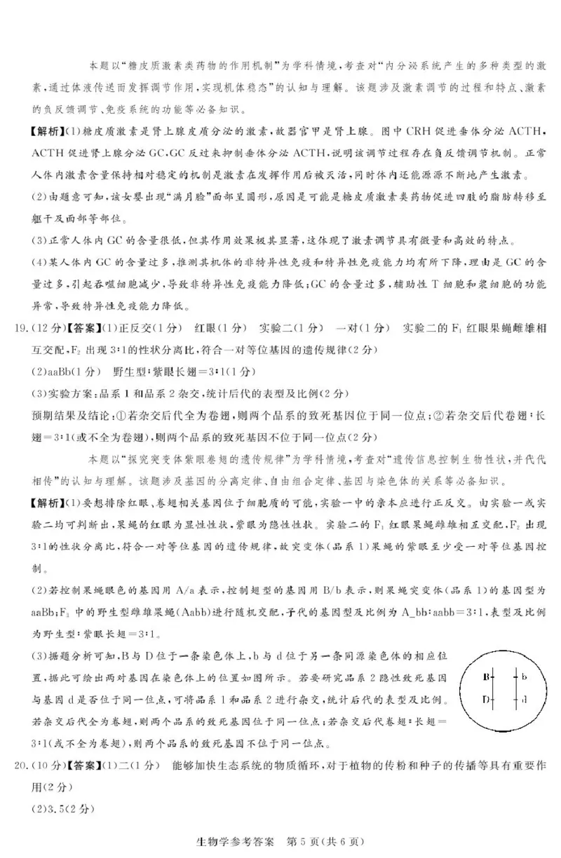 湘豫名校联考2025届高三下学期第三次模拟考试生物试卷（含答案）_2025年5月_250501湘豫名校联考2024-2025学年高三春季第三次模拟考试（全科）