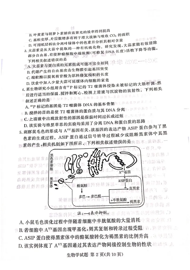 湘豫名校联考2025届高三下学期第三次模拟考试生物试卷（含答案）_2025年5月_250501湘豫名校联考2024-2025学年高三春季第三次模拟考试（全科）