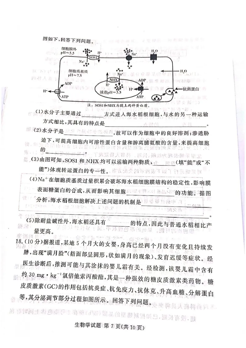 湘豫名校联考2025届高三下学期第三次模拟考试生物试卷（含答案）_2025年5月_250501湘豫名校联考2024-2025学年高三春季第三次模拟考试（全科）