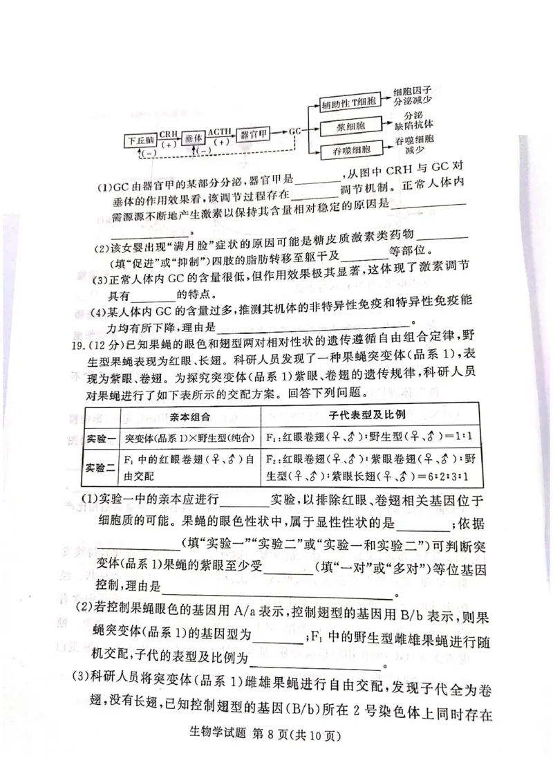 湘豫名校联考2025届高三下学期第三次模拟考试生物试卷（含答案）_2025年5月_250501湘豫名校联考2024-2025学年高三春季第三次模拟考试（全科）