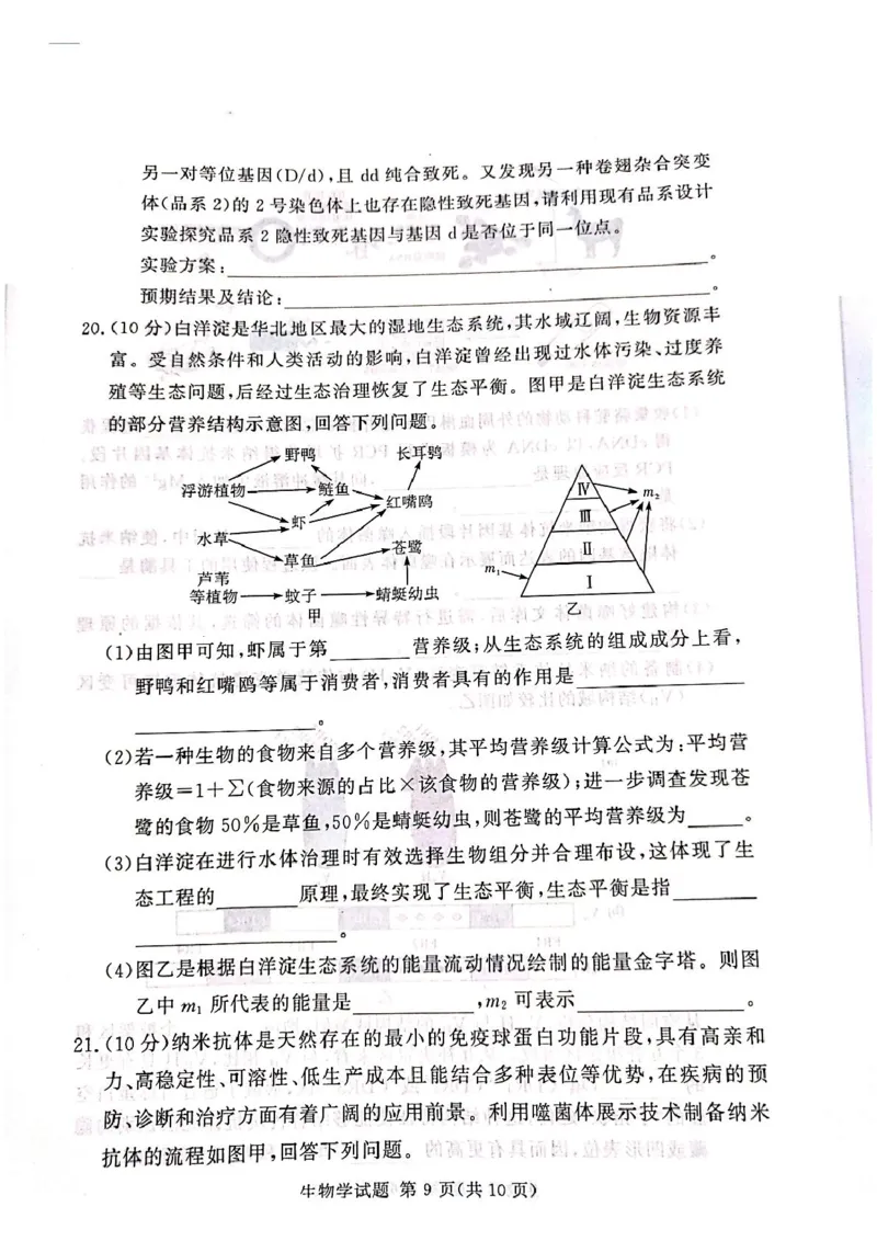 湘豫名校联考2025届高三下学期第三次模拟考试生物试卷（含答案）_2025年5月_250501湘豫名校联考2024-2025学年高三春季第三次模拟考试（全科）
