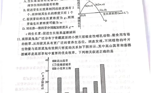 湘豫名校联考2025届高三下学期第三次模拟考试生物试卷（含答案）_2025年5月_250501湘豫名校联考2024-2025学年高三春季第三次模拟考试（全科）