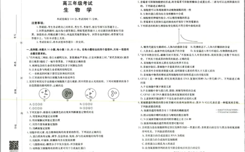 生物试题_2025年9月_250906陕西金太阳2025年9月高三联考（15C）（全科）_生物