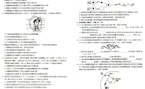生物试题_2025年9月_250906陕西金太阳2025年9月高三联考（15C）（全科）_生物