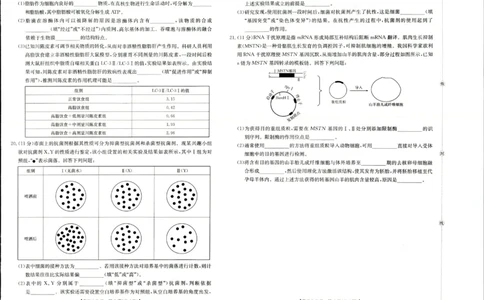 生物试题_2025年9月_250906陕西金太阳2025年9月高三联考（15C）（全科）_生物