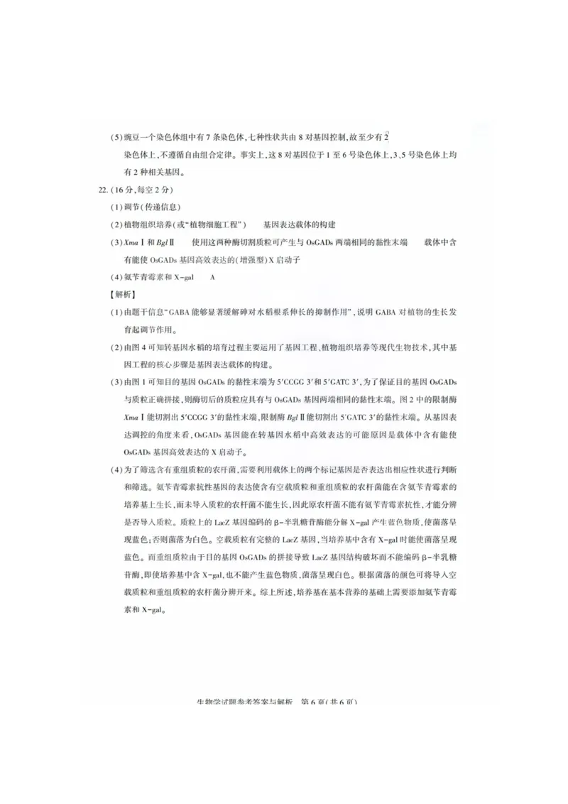 生物答案_2025年8月_250822湖北省圆创高中名校联盟2026届高三第一次联合测评（全科）_湖北省圆创高中名校联盟2026届高三第一次联合测评生物