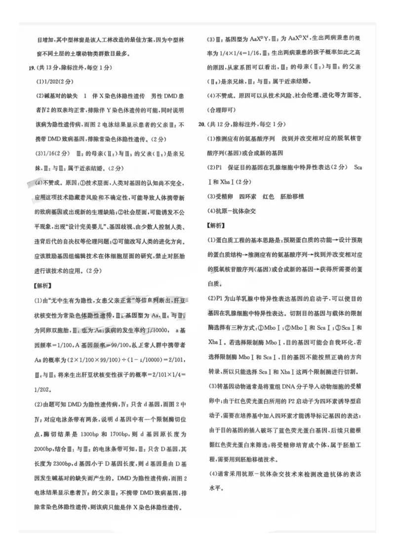 四川省巴中市普通高中2023级&ldquo;零诊&rdquo;模拟考试生物答案_2025年8月_250817四川省巴中市普通高中2023级&ldquo;零诊&rdquo;模拟考试_四川省巴中市2026届高三&ldquo;零诊&rdquo;模拟考试生物