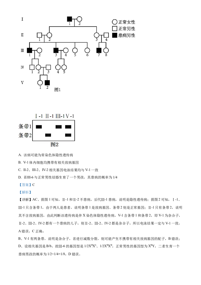 浙江省杭州市第二中学2026届高三上学期10月月考生物试题Word版含解析_2025年10月_12026年试卷教辅资源等多个文件_251026浙江省杭州市第二中学2026届高三上学期10月月考