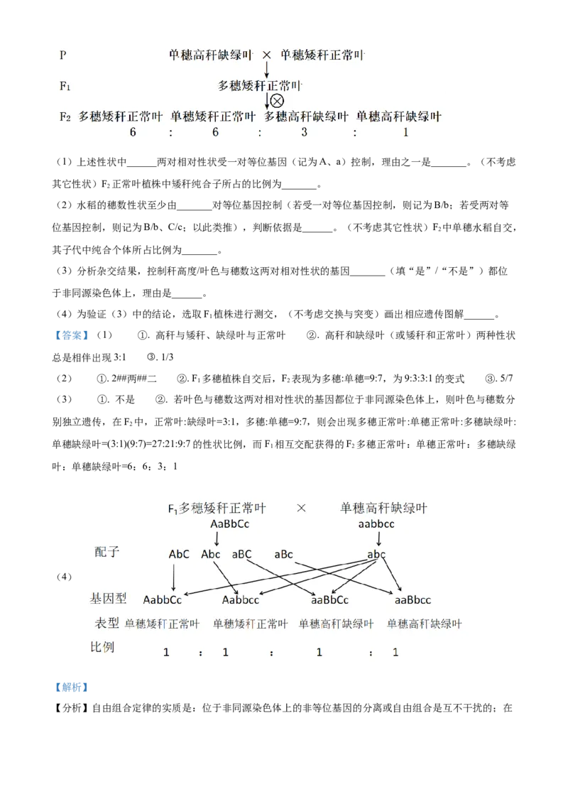 浙江省杭州市第二中学2026届高三上学期10月月考生物试题Word版含解析_2025年10月_12026年试卷教辅资源等多个文件_251026浙江省杭州市第二中学2026届高三上学期10月月考