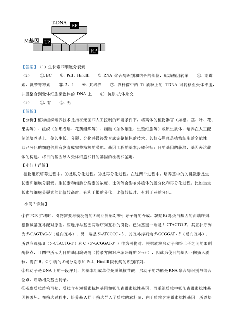 浙江省杭州市第二中学2026届高三上学期10月月考生物试题Word版含解析_2025年10月_12026年试卷教辅资源等多个文件_251026浙江省杭州市第二中学2026届高三上学期10月月考