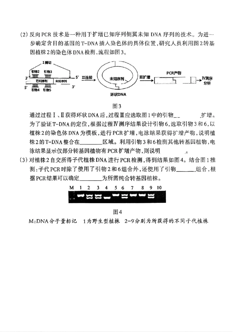 福建省三明市2025年普通高中高三毕业班质量检测生物_2025年5月_250510福建省三明市2025年普通高中高三毕业班质量检测（全科）