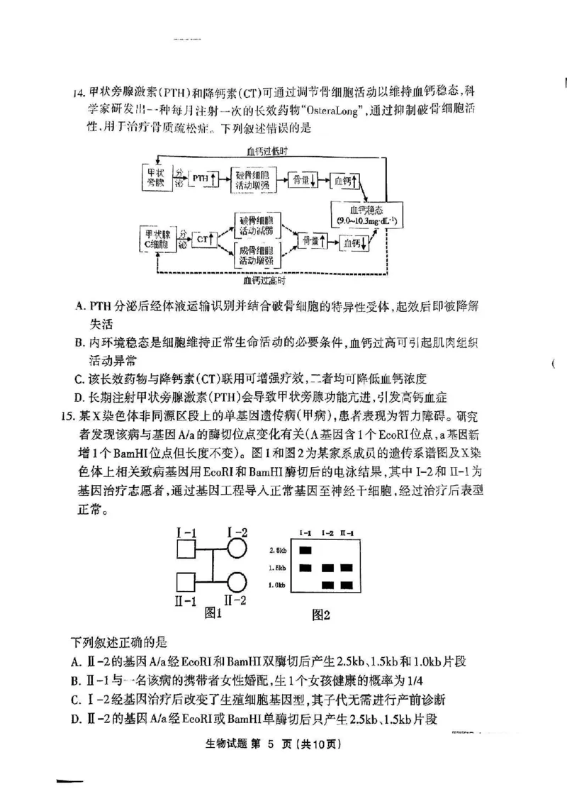 福建省三明市2025年普通高中高三毕业班质量检测生物_2025年5月_250510福建省三明市2025年普通高中高三毕业班质量检测（全科）